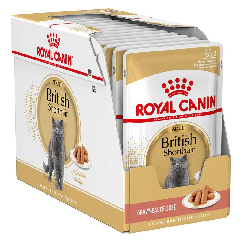 12x85g Royal Canin Adult British Shorthair - Umido Gatto