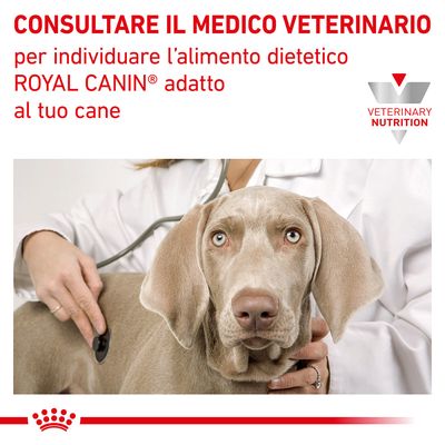 Royal Canin Cardiac 2kg - Crocchette per Cani - immagine 9