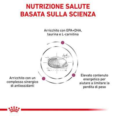 Royal Canin Cardiac 2kg - Crocchette per Cani - immagine 5