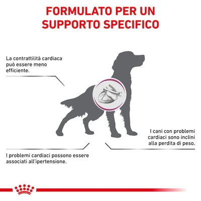 Royal Canin Cardiac 2kg - Crocchette per Cani - immagine 4