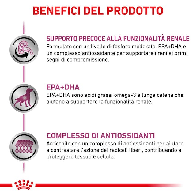 12x100g Royal Canin Early Renal Veterinary - Cibo Umido per Cani - immagine 7