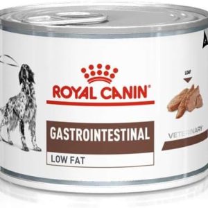 Royal Canin Gastrointestinal Low Fat 200g - Umido Cane
