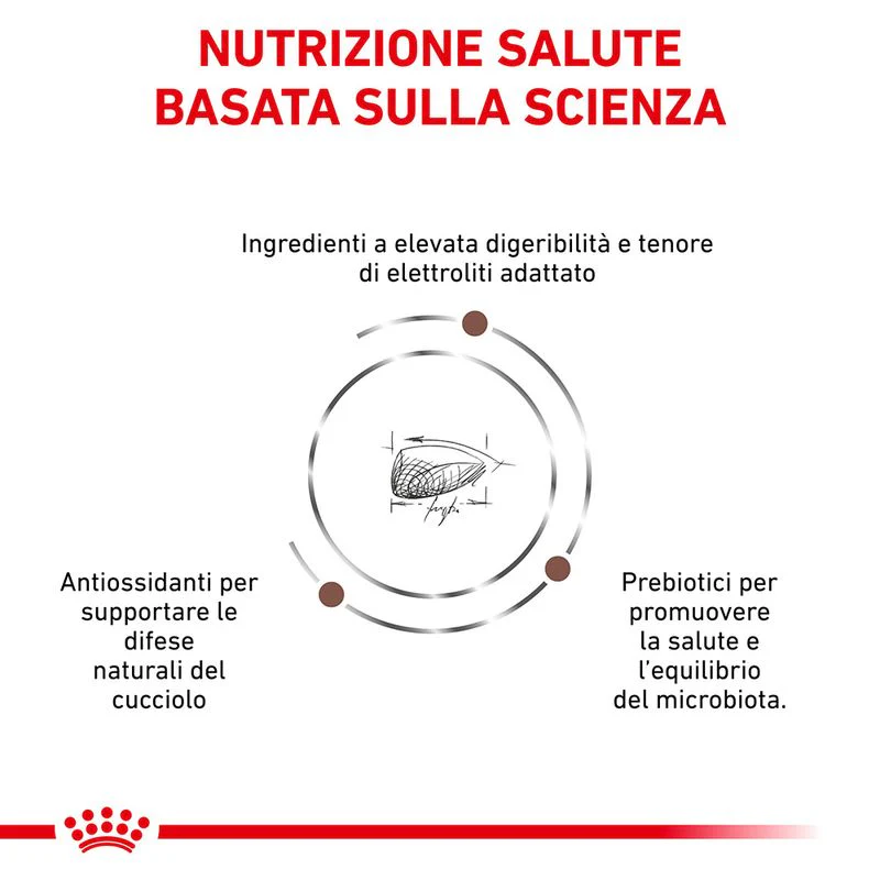 Royal Canin Gastrointestinal Puppy 2,5kg - Crocchette per Cani - immagine 4