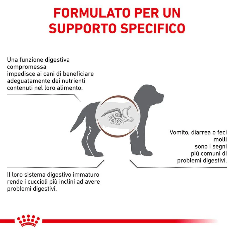 Royal Canin Gastrointestinal Puppy 2,5kg - Crocchette per Cani - immagine 3