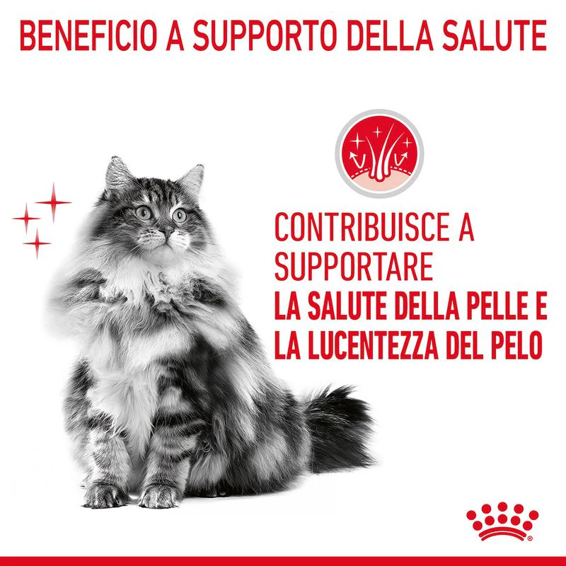12x85g Royal Canin Hair&Skin Care in Salsa - Umido Gatto - immagine 8