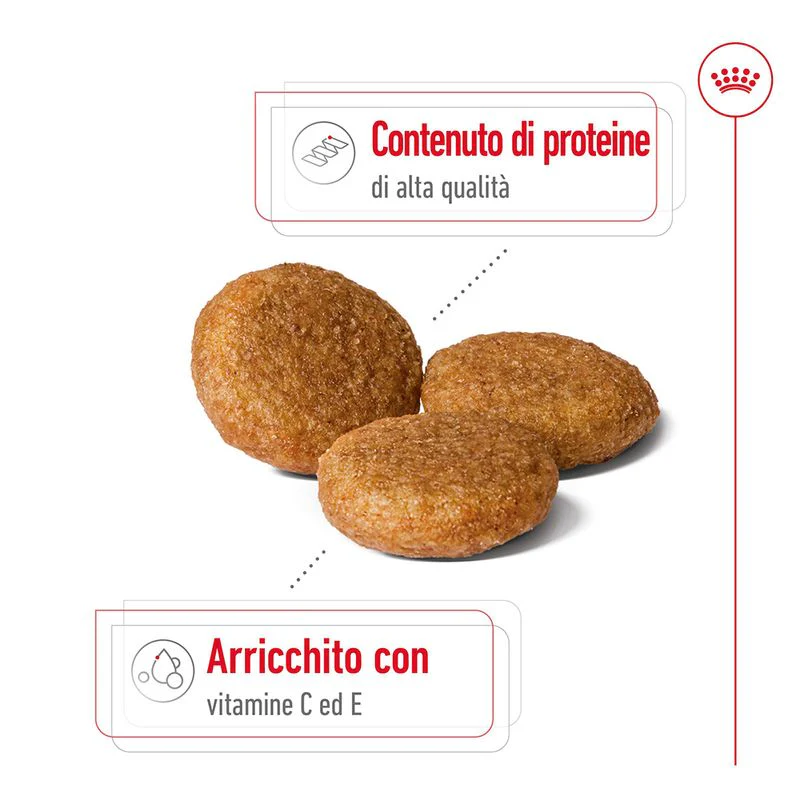 2x15kg Royal Canin Medium Adult - Crocchette per Cani - immagine 6