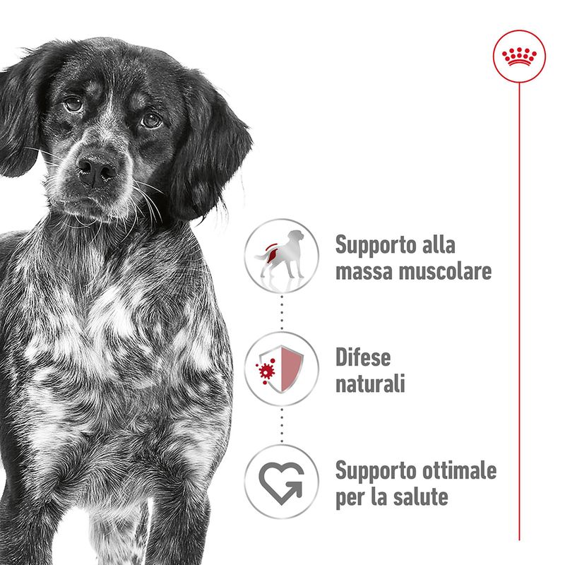 2x15kg Royal Canin Medium Adult - Crocchette per Cani - immagine 5