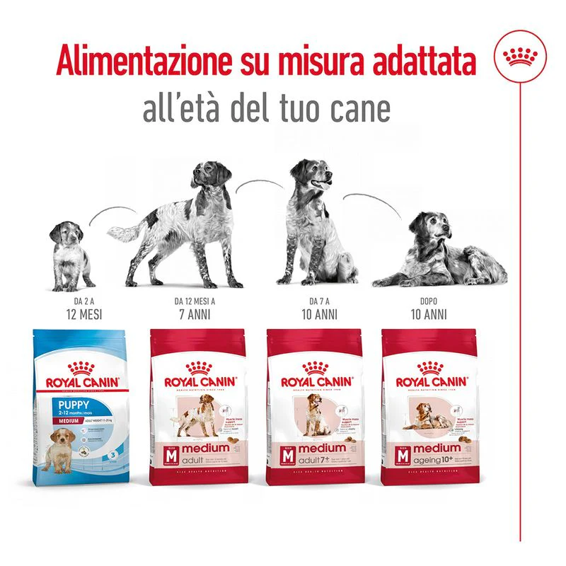 2x15kg Royal Canin Medium Adult - Crocchette per Cani - immagine 8
