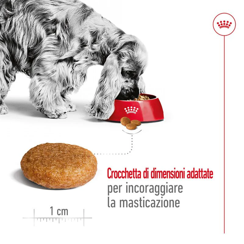 2x15kg Royal Canin Medium Adult - Crocchette per Cani - immagine 7
