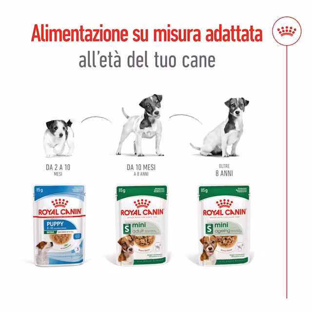12x85g Royal Canin Mini Adult Bocconcini Salsa Cane Adulto - immagine 8