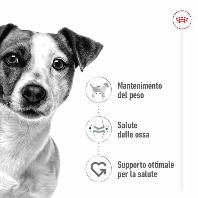 12x85g Royal Canin Mini Adult Bocconcini Salsa Cane Adulto - immagine 5
