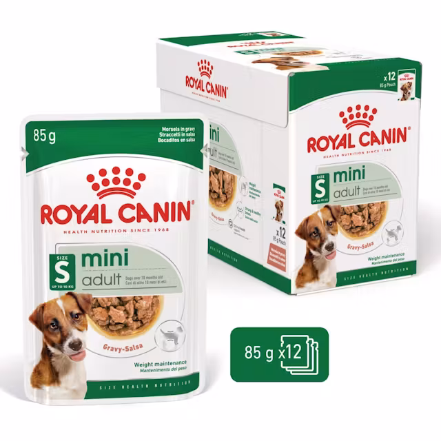 12x85g Royal Canin Mini Adult Bocconcini Salsa Cane Adulto - immagine 3