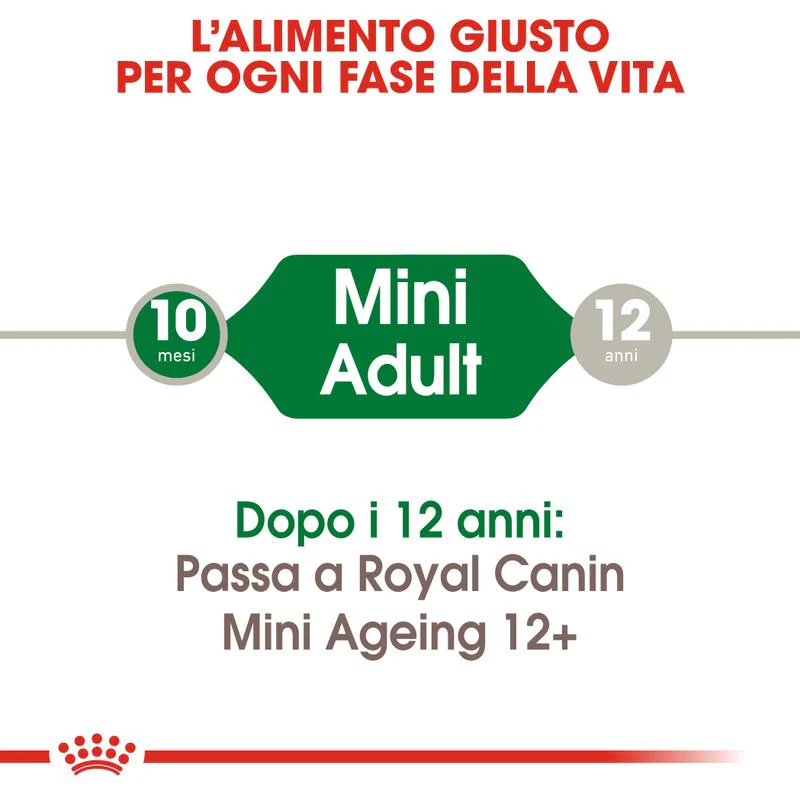 24x85g Royal Canin Mini Adult in Salsa - Cibo Umido per Cani - immagine 6