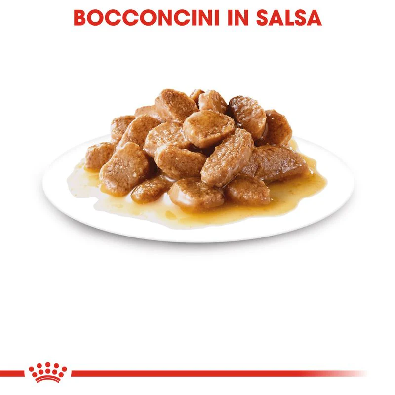 48x85g Royal Canin Mini Adult Bocconcini in Salsa - immagine 5