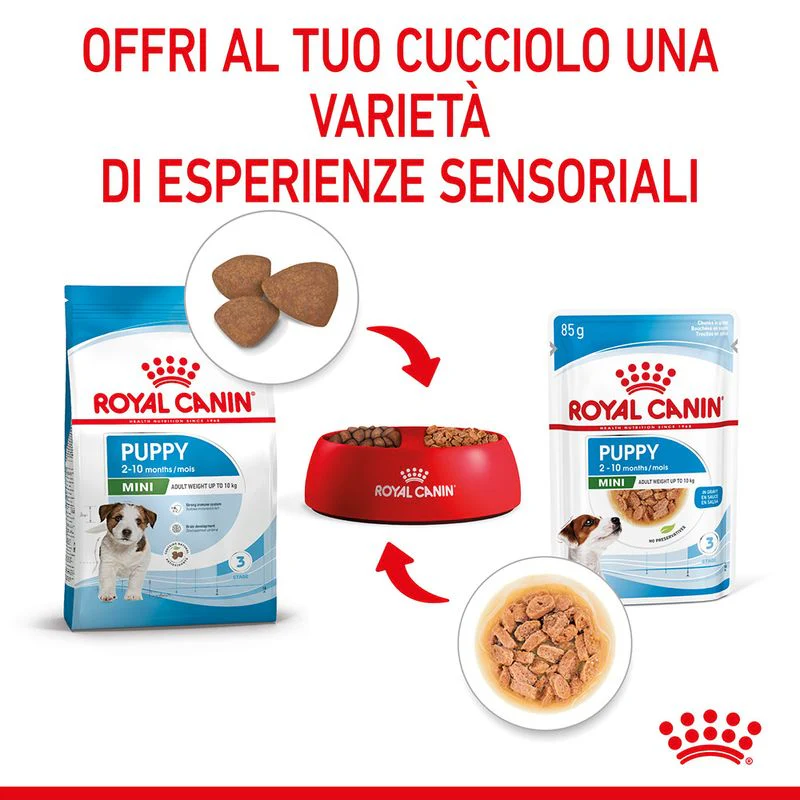 12x85g Royal Canin Mini Puppy - Cibo Umido per Cani Cuccioli - immagine 8