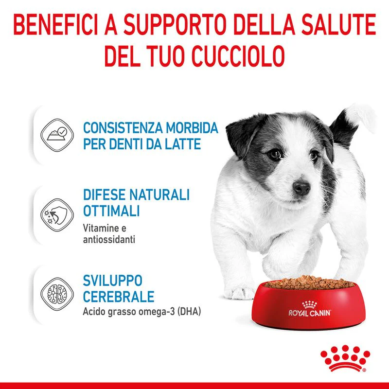 12x85g Royal Canin Mini Puppy - Cibo Umido per Cani Cuccioli - immagine 7
