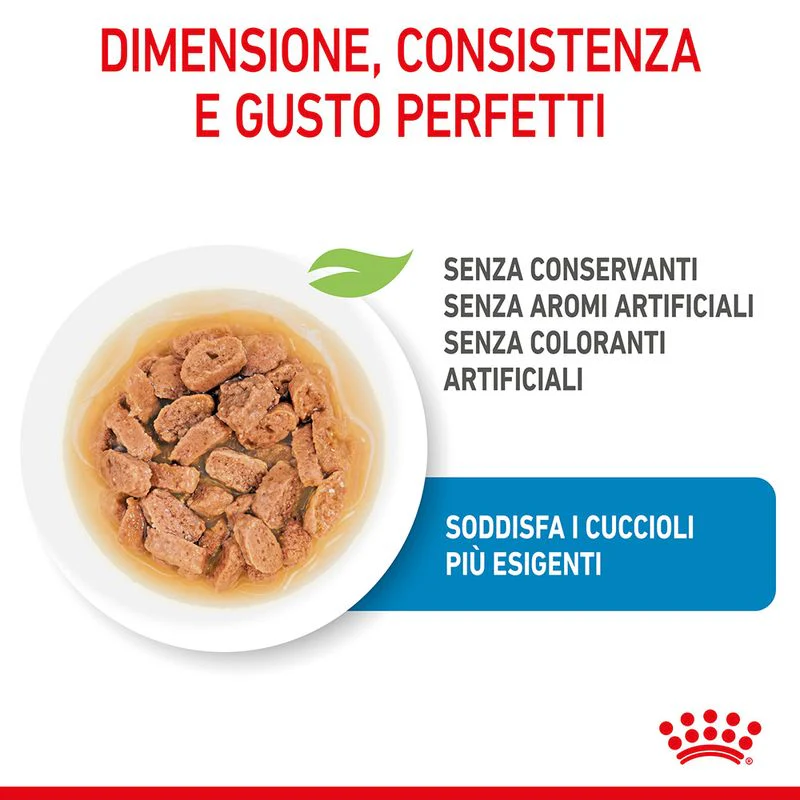 12x85g Royal Canin Mini Puppy - Cibo Umido per Cani Cuccioli - immagine 6