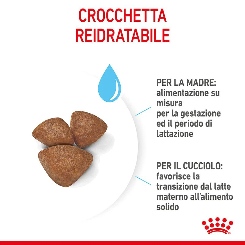 Royal Canin Starter Mother&Babydog Mini 1kg - Crocchette per Cani Cuccioli - immagine 9
