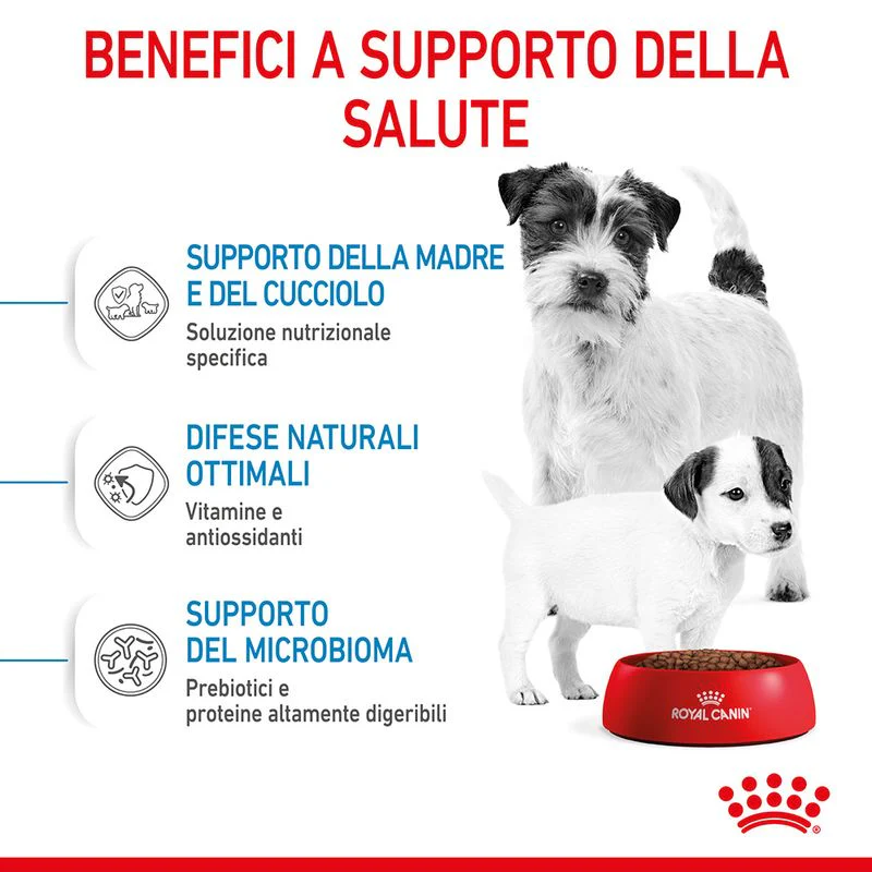 Royal Canin Starter Mother&Babydog Mini 1kg - Crocchette per Cani Cuccioli - immagine 7