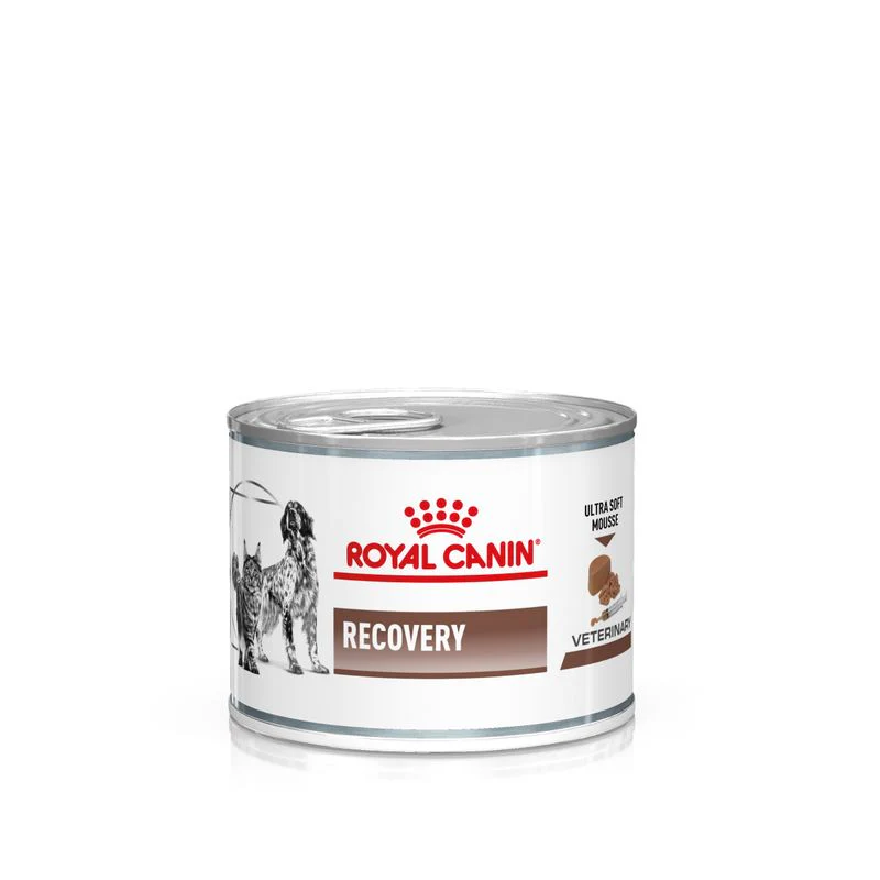 Royal Canin Recovery Mousse 195g - Cibo Umido per Cani e Gatti - immagine 2