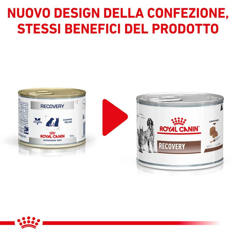 Royal Canin Recovery Mousse 195g - Cibo Umido per Cani e Gatti - immagine 3