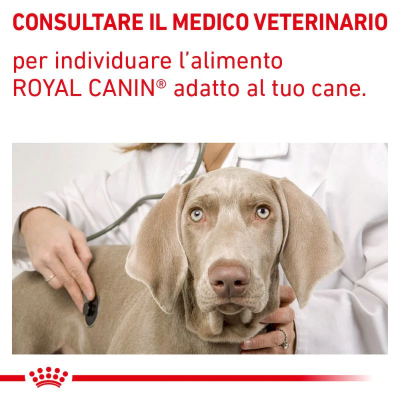 Royal Canin Recovery Mousse 195g - Cibo Umido per Cani e Gatti - immagine 7