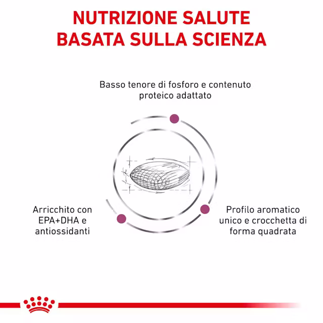 1x7kg Royal Canin Renal Insufficienza Renale Cronica Cane - immagine 4