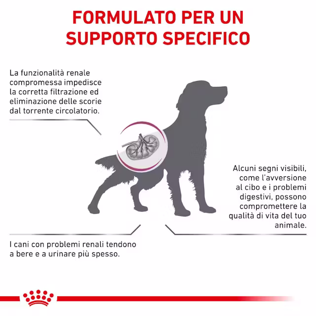 1x7kg Royal Canin Renal Insufficienza Renale Cronica Cane - immagine 5