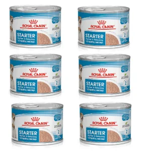 6x195g Royal Canin Starter Mousse Mother & Babydog