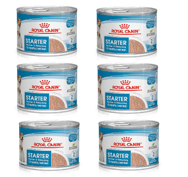 6x195g Royal Canin Starter Mousse Mother & Babydog