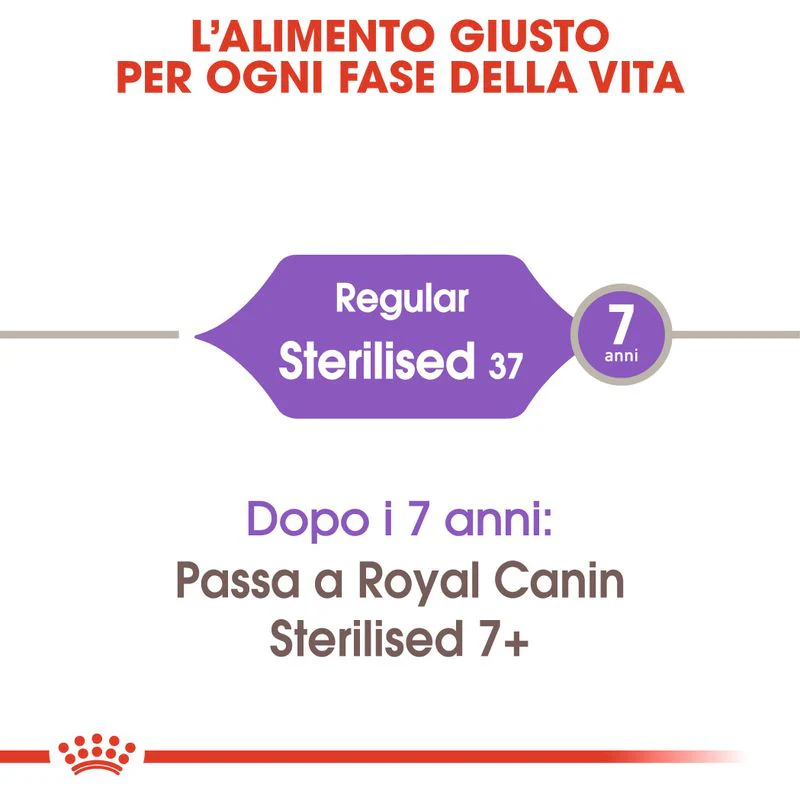 Royal Canin Sterilised 37 4kg - Crocchette per Gatti - immagine 7