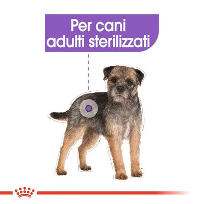 Royal Canin Sterilised Mini 3kg - Crocchette per Cani - immagine 3