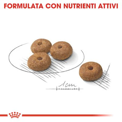 Royal Canin Sterilised Mini 8kg - Crocchette per Cani - immagine 5
