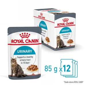 12x85g Royal Canin Urinary Care Salsa - Cibo Umido per Gatti