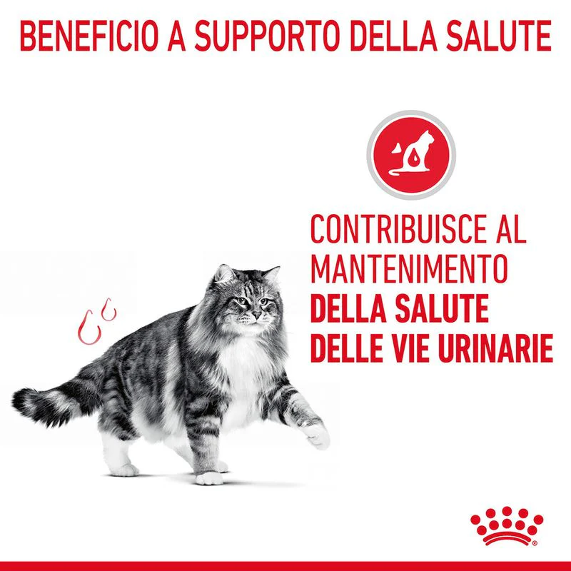 12x85g Royal Canin Urinary Care Salsa - Cibo Umido per Gatti - immagine 7