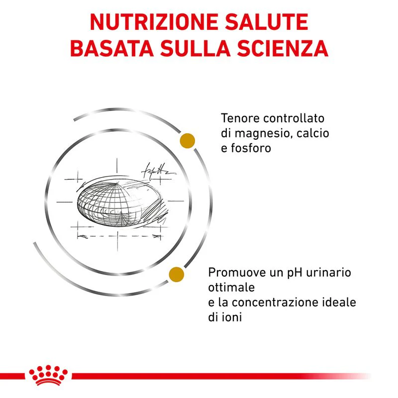 Royal Canin Urinary S/O 1,5kg - Crocchette per Gatti - immagine 7