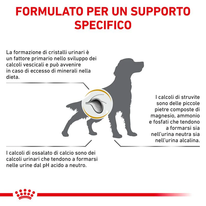 Royal Canin Urinary S/O 2kg - Crocchette per Cani - immagine 8