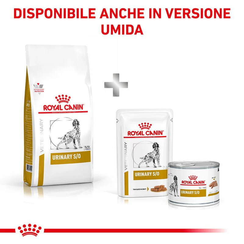 Royal Canin Urinary S/O 2kg - Crocchette per Cani - immagine 6