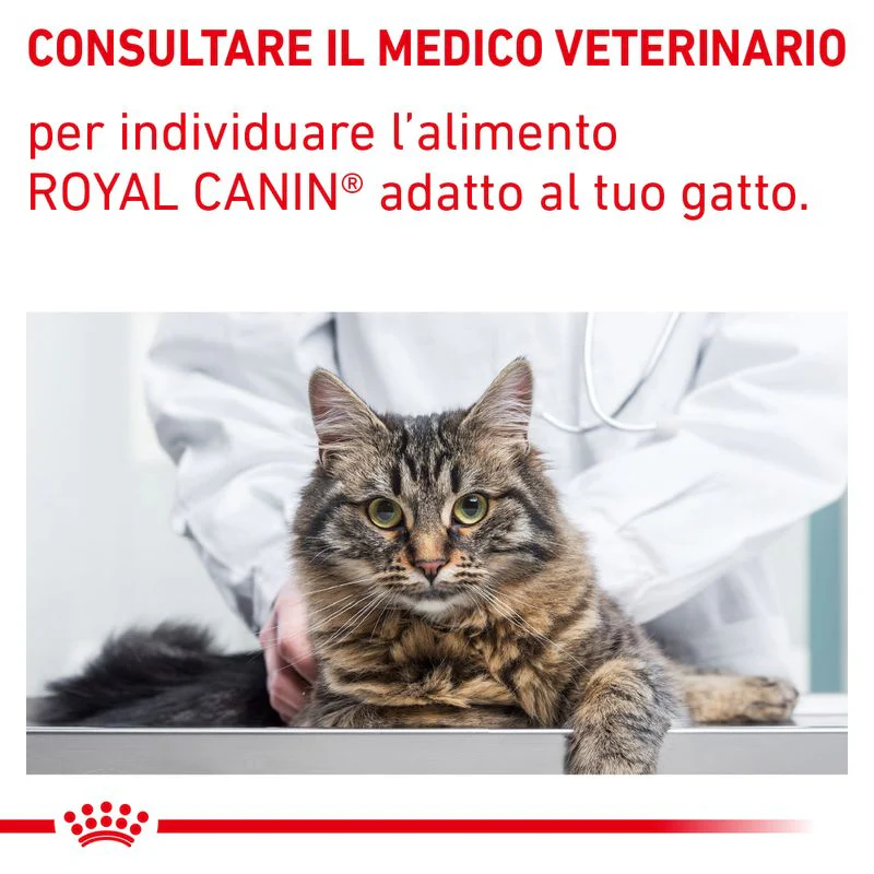 12x85g Royal Canin Gastrointestinal Veterinary - Umido Gatto - immagine 9