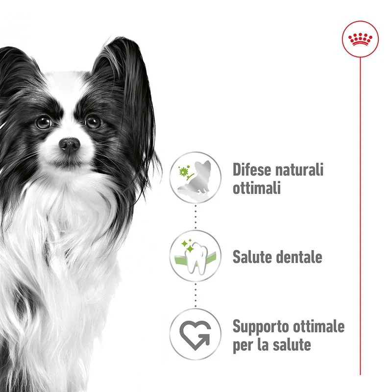 Royal Canin X-Small Ageing 12+ 1,5kg - Crocchette per Cani - immagine 6