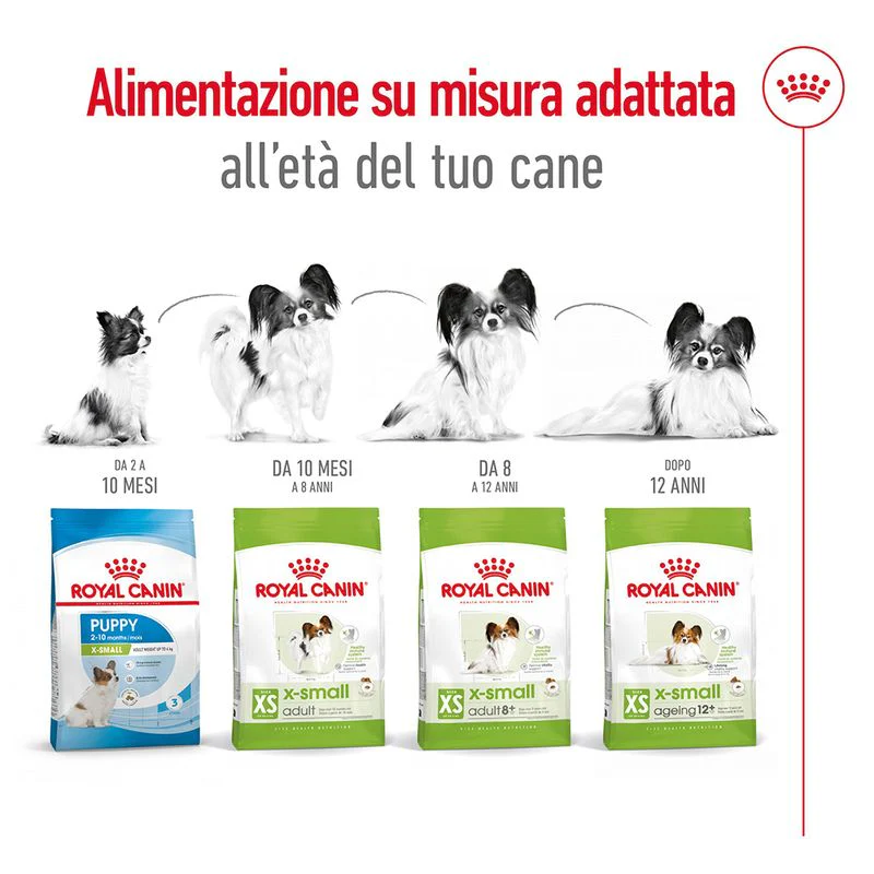 Royal Canin X-Small Ageing 12+ 1,5kg - Crocchette per Cani - immagine 9
