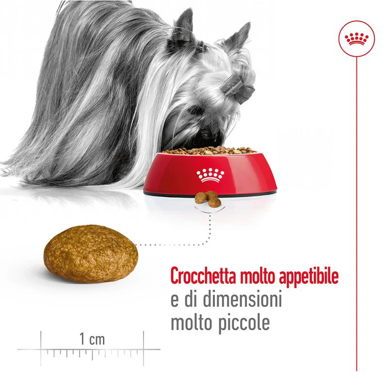 Royal Canin X-Small Ageing 12+ 1,5kg - Crocchette per Cani - immagine 8