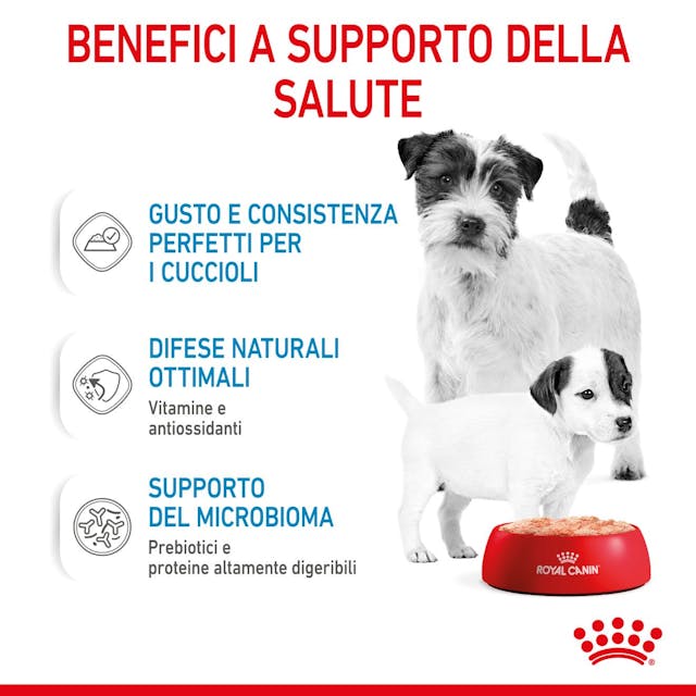 6x195g Royal Canin Starter Mousse Mother & Babydog - immagine 5
