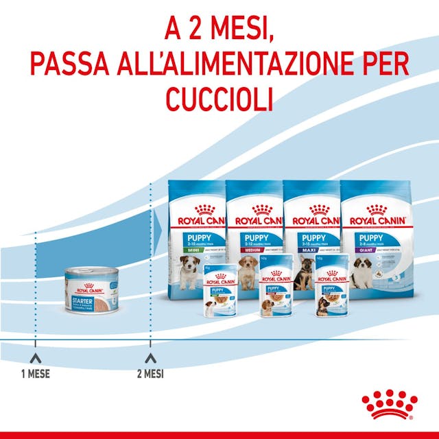 6x195g Royal Canin Starter Mousse Mother & Babydog - immagine 6