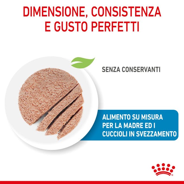 6x195g Royal Canin Starter Mousse Mother & Babydog - immagine 7