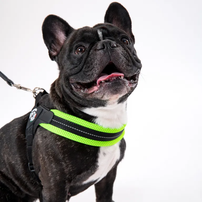 Tre Ponti Easy Fit Mesh Verde Fluo Taglia 1 - immagine 4