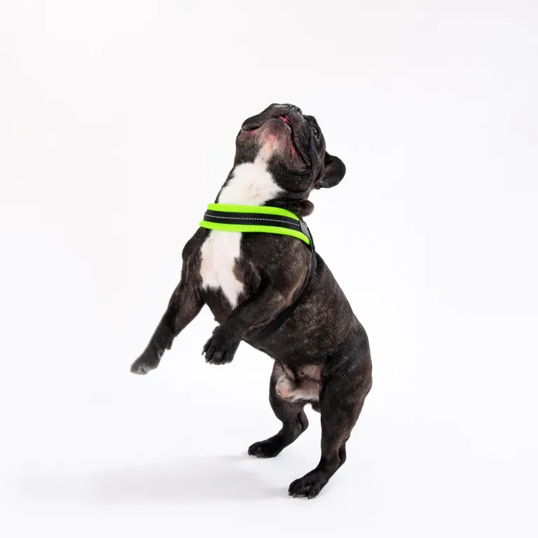 Tre Ponti Easy Fit Mesh Verde Fluo Taglia 1 - immagine 5