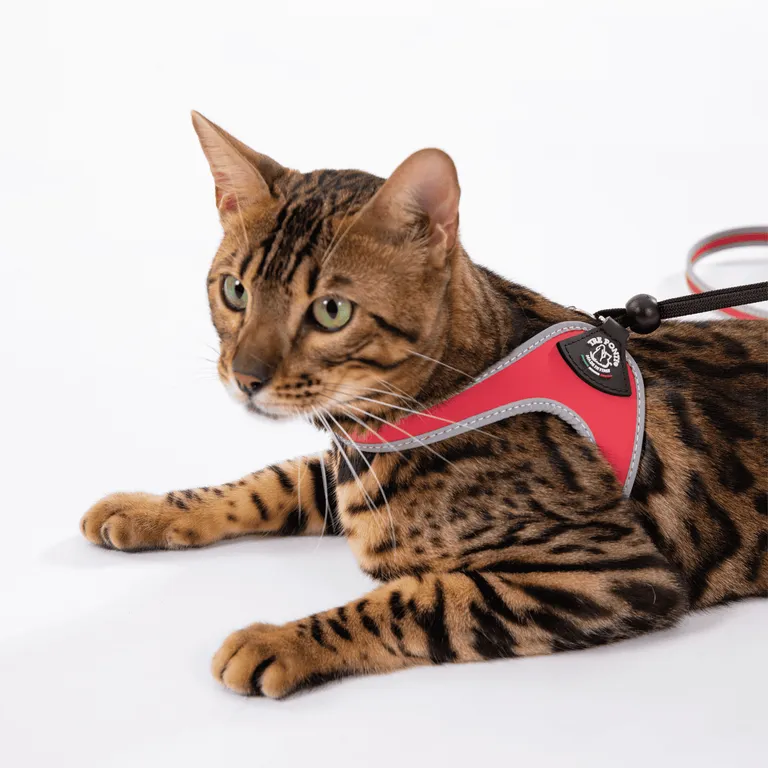 Tre Ponti Easy Fit Original Azzurro Nero Taglia 1.5 - immagine 5