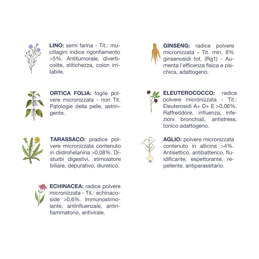 Vet Line Adult Pollo 3kg - Crocchette per Cani Monoproteiche - immagine 4