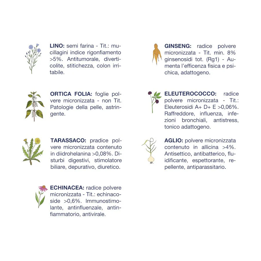 Vet Line Less Dry Alimento Secco Cane Adulto Taglia Piccola Agnello 800 g - immagine 3